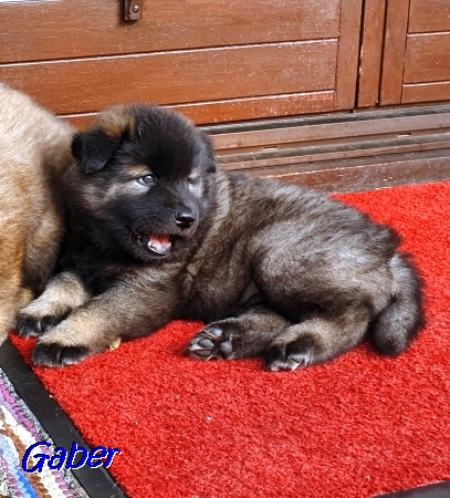 3.11.2020 - Malisha Mae 3.11.2020 - Malisha Mae